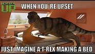 Funny, T-Rex makes my bed.