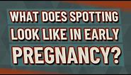 What does spotting look like in early pregnancy?