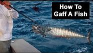How To Gaff A Fish: Mistakes, Choosing The Right Size Gaff, & More