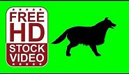 Free Stock Videos - Dog silhouette barking and running on green screen