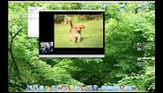 Tech Support: How to Use iChat for Mac OS X
