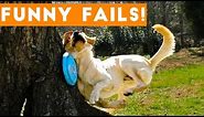 TRY NOT to LAUGH Animals FUNNY PET FAILS Compilation 2018 | Epic Pet Videos & Moments
