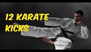 12 karate kicks #karatekicks #geri #kicksinkarate #collectionofkaratekicks #kicksinmarsalart