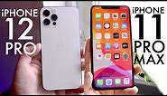 iPhone 12 Pro Vs iPhone 11 Pro Max! (Comparison) (Review)