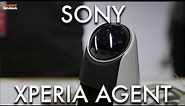 Sony Xperia Agent Robot - MWC 2016