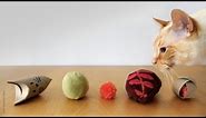 5 Easy Cat Toys Under 3 Minutes