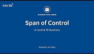Span of Control (Organisational Structure)