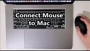 How to Connect Bluetooth Mouse to MacBook
