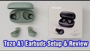 Tozo A1 Earbuds Setup & Review