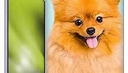 Head Case Designs Pomeranian Dog Popular Dog Breeds Soft Gel Case Compatible with Samsung Galaxy A21s (2020)