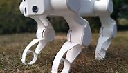GoodBoy - 3D Printed Arduino Robot Dog