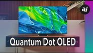 Review: Samsung's Quantum Dot OLED S95B TV Looks Incredible! BUT...