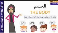Body Parts in Arabic - Level 1: Ln 7 - Part 1 (New Words) - Learn with Safaa