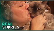America's "Craziest" Cat Ladies! (Animal Documentary) | Real Stories