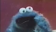 Sesame Street Cookie Monster Crying