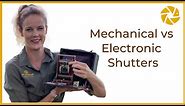 Mechanical Vs Electronic Shutter. Which is BETTER for wildlife photography?