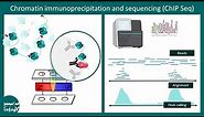 ChiP seq | Chromatin immunoprecipitation and sequencing | Methods in biology | CSIR NET