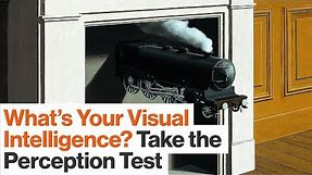 Take This Perception Test to See How Visually Intelligent You Are | Amy Herman | Big Think
