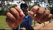 Norman Lures Speed Clips: Review and Strength Test