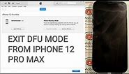 EXIT DFU MODE OR RESTORE MODE FROM IPHONE 12 PRO MAX