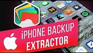 How to Use iPhone Backup Extractor | Extract Files from iCloud | Extract Files from iTunes