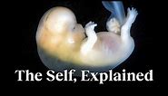 The science of the “self” — explained by a biologist | Michael Levin