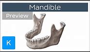 Mandible: structure and bony landmarks (preview) - Human Anatomy | Kenhub