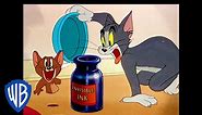 Tom & Jerry - Plural Nouns Activity