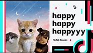 Happy Happy Happy Cat meme | TikTok Trends Compilation