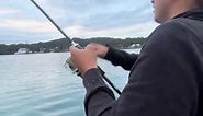 Oooo😈 #mashallah #fishing #fypシ゚viral #fyp #fortheboy #fyp #fortheboy #syd #fish #snapper #kingfish #gts #gianttrevalley #livebait #girls #viral #foryoupage #bream #mangrovejack #breamfishing #sydney