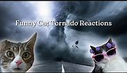 Funny Cat Reactions to Tornados (Must Watch)