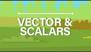 What are Vector and Scalar Quantities?