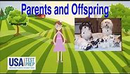 Parents and Offspring