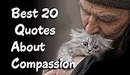 Best 20 Famous Quotes About Compassion || to Inspire Self-compassion
