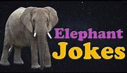 Funny Elephant Jokes