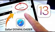iOS 13 Safari Download Manager For iPhone & iPad - How to Use it