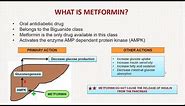 METFORMIN - Pharmacology