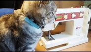 Elna Air Electronic Sewing Machine - Not Zig Zagging Fix. 50th Jubile Model. Molly the Cat Helps.