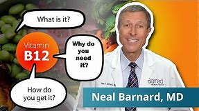 What You Need To Know About Vitamin B12 | Vegan Diets