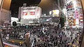 Tokyo Shibuya Crossing, World's Busiest Intersection - Timelapse HD - ooAsia