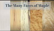 The Many Faces of Maple - A Woodworkers Guide to the Many Varieties of Maple Lumber