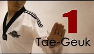 Taekwondo Form 1 - Taekwondo Animals.com