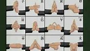 Naruto 12 Hand signs