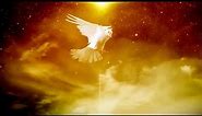 Holy Spirit in a form of Dove video background loop 1080p Full HD YouTube