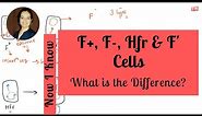 F+, F-, Hfr and F’ Cells – What is the Difference?