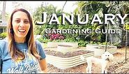 January Garden Guide: The Ultimate Guide to Florida Gardening