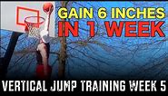 Vertical Jump Training Week 5: Gain 6 Inches In 1 Week