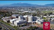 Quinquennial Report - Loma Linda University Health