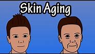 How Does The Skin Age - Skin Aging Process - Why Do We Get Wrinkles