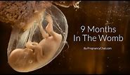 9 Months In The Womb: A Remarkable Look At Fetal Development Through Ultrasound By PregnancyChat.com